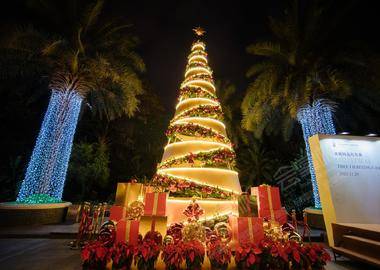 「圣誕樹亮燈慶典」CHRISTMAS TREE LIGHTING CEREMONY